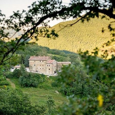 Country House Villa La Farfalla Pietralunga  Exterior foto