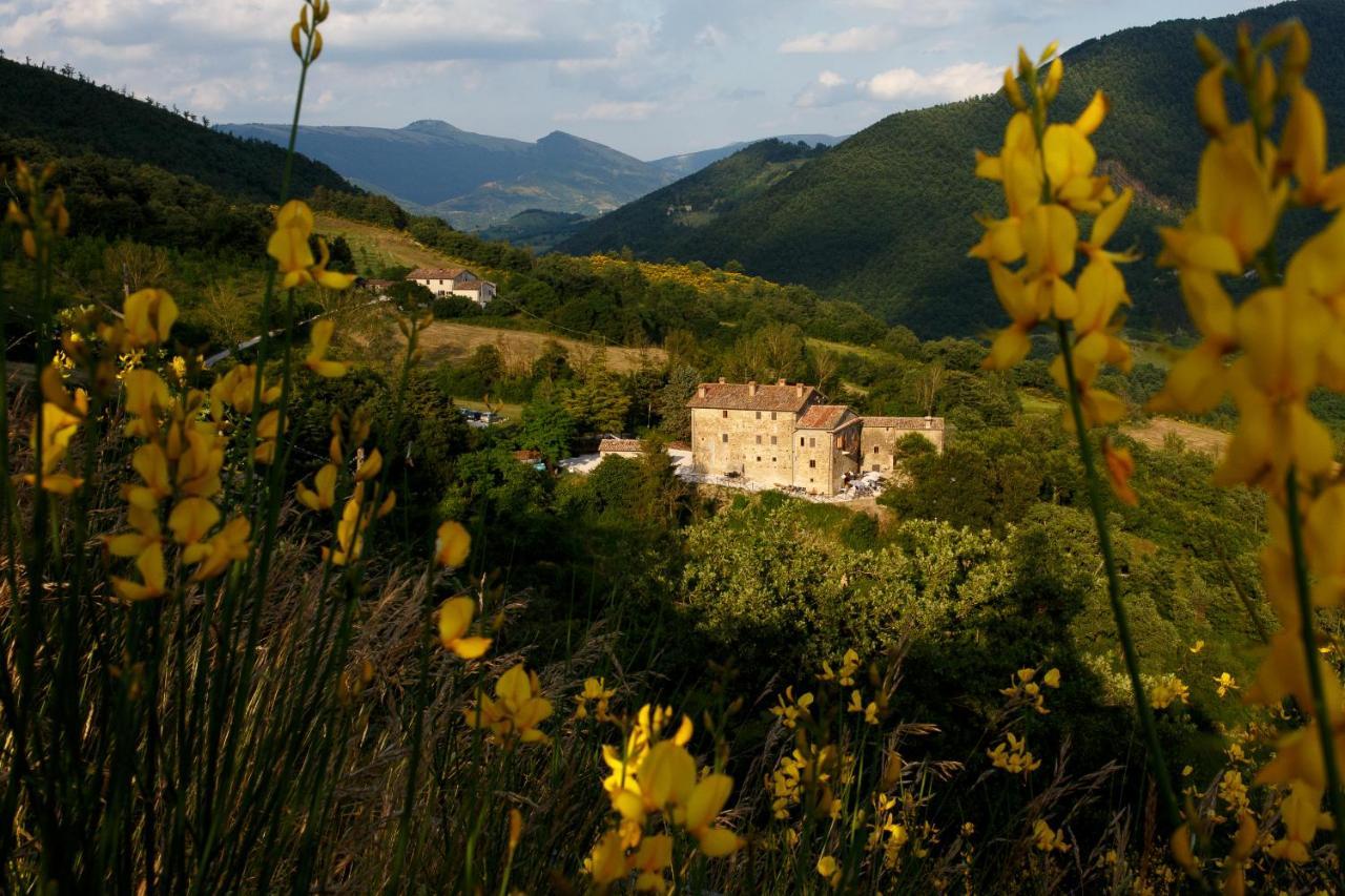 Country House Villa La Farfalla Pietralunga  Exterior foto